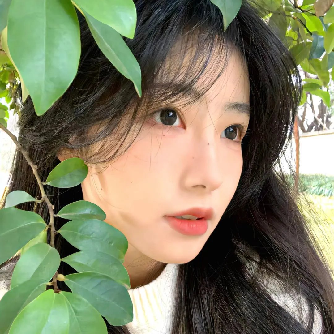 杨光的快乐生活2
